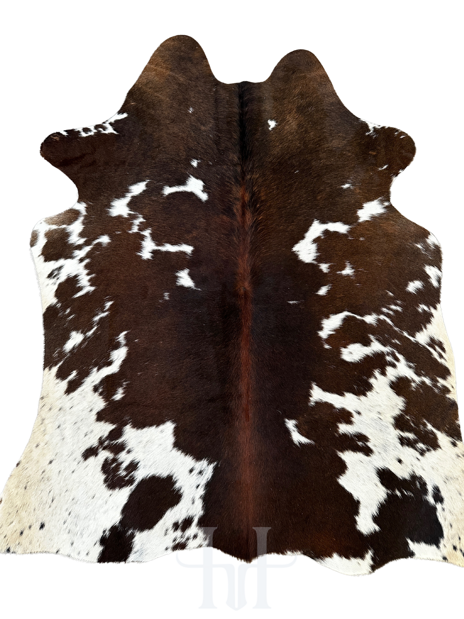 Cowhide - Small #TTNE010